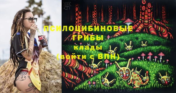 apvp Саяногорск