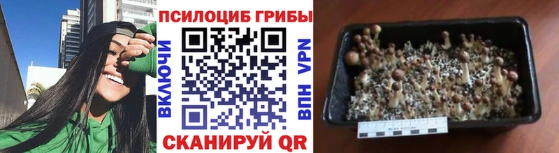 OMG маркетплейс Нея Галлюциногенные грибы MAGIC MUSHROOMS